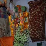 Vraj-Yatra-2014- (2251)